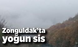 Zonguldak’ta yoğun sis