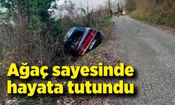 Ağaç sayesinde hayata tutundu