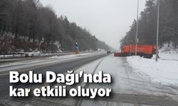 Bolu Dağı'nda kar etkili oluyor; Ekipler hazır bekliyor