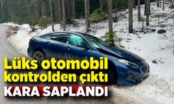 Lüks otomobil kontrolden çıktı, kara saplandı