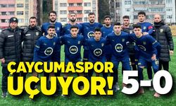 Çaycumaspor evine galibiyetle döndü: 5-0