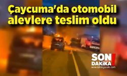 Çaycuma'da otomobil alevlere teslim oldu