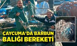 Çaycuma'da  barbun balığı bereketi