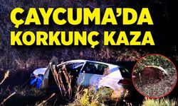 Çaycuma'da korkunç kaza! Domuza çarpan sürücü ölümden döndü