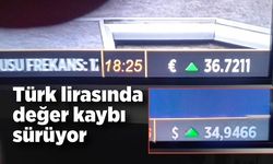 Türk lirasında değer kaybı sürüyor