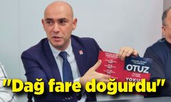 Devrim Dural; "Dağ fare doğurdu"