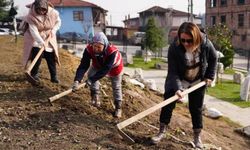 Park ve Bahçeler Müdürlüğü ekipleri bu sefer tarihi kentte kazı yaptı