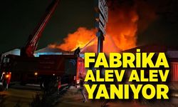 Fabrika yangını: Ekipler müdahale ediyor