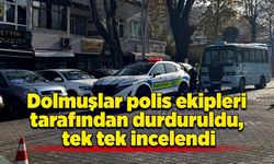 Dolmuşlar polis ekipleri tarafından durduruldu, tek tek incelendi