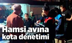 Hamsi avına kota denetimi