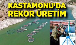 Kastamonu'da rekor alabalık ve Türk somonu üretimi