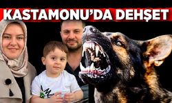 Kastamonu'da dehset! Sokak köpekleri anne ve oğluna saldırdı