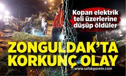 Zonguldak'ta elektrik akımı faciası! Kopan tel üzerlerine düşünce öldüler