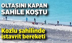 Kozlu sahilinde istavrit bereketi: Amatör balıkçılar akın etti