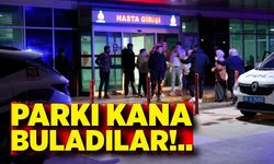 Parkı kana buladılar: 7 yaralı