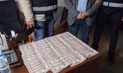 Piyasaya sahte ’50 ve 100’lük ABD Doları banknotu sokan 4 şüpheli yakalandı