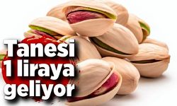 Tanesi 1 liraya geliyor