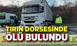 Park halindeki tırın dorsesinde ölü bulundu