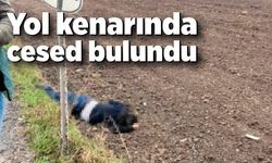 Yol kenarında cansız bedeni bulundu