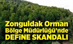 Zonguldak Orman Bölge Müdürlüğü’nde define skandalı: Ormanlar talan edildi