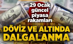 Döviz ve Altında dalgalanma: 29 Ocak 2025 güncel piyasa rakamları