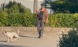 Olta misinaya bağladığı güvercinle köpeğini eğiten şahıs gözaltına alındı