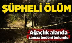 Şüpheli ölüm: Ağaçlık alanda cansız bedeni bulundu