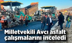 Milletvekili Muammer Avcı asfalt çalışmalarını inceledi