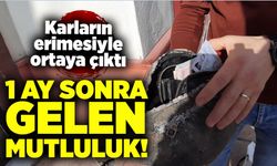 Karların erimesiyle ortaya çıktı:1 ay sonra gelen mutluluk!