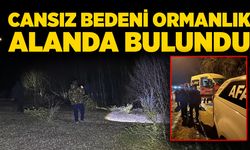 Hayvan otlatmaya gitti! Cansız bedeni ormanlık alanda bulundu