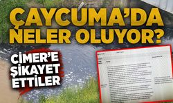 Çaycuma'da neler oluyor? Cimer'e şikayet ettiler...