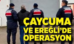 Jandarma’dan Ereğli ve Çaycuma’da operasyon