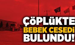 Çöplükte bebek cesedi bulundu!