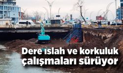 Dere ıslah ve korkuluk çalışmalarI sürüyor