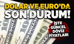 27 Ocak Pazartesi Güncel Döviz Kurları.... Dolar kaç TL oldu, Euro ne kadar?