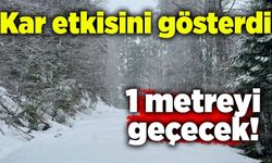 Kar etkisini gösterdi: 1 metreyi geçecek!