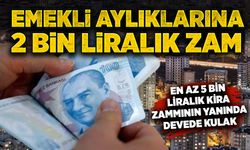 Emekliye yapılan zam, kiraya yapılan artışın yanında devede kulak