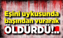 Eşini uykusunda başından vurarak öldürdü