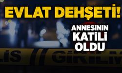 Evlat dehşeti! Annesinin pompalı tüfekle öldürdü