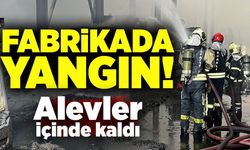 Fabrikada yangın! Alevler içinde kaldı