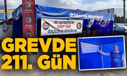 Grevde 211. gün