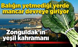 Balığın yetmediği yerde mancar devreye giriyor: Zonguldak’ın yeşil kahramanı