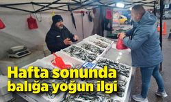 Hafta sonunda balığa yoğun ilgi