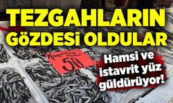 Tezgahların gözdesi oldular: Hamsi ve istavrit yüz güldürüyor!