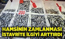 Hamsinin zamlanması istavrite ilgiyi arttırdı