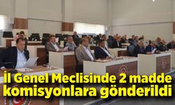 İl Genel Meclisinde 2 madde komisyona gönderildi