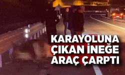 Karayoluna çıkan ineğe araç çarptı