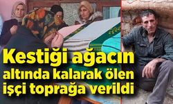 Kestiği ağacın altında kalarak ölen işçi Bartın'da toprağa verildi