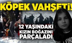 Köpek vahşeti: 12 yaşındaki çocuğun boğazını parçaladı