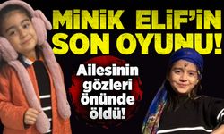 Minik Elif'in son oyunu! Ailesinin gözleri önünde öldü